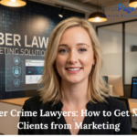 cyber crime lawyers