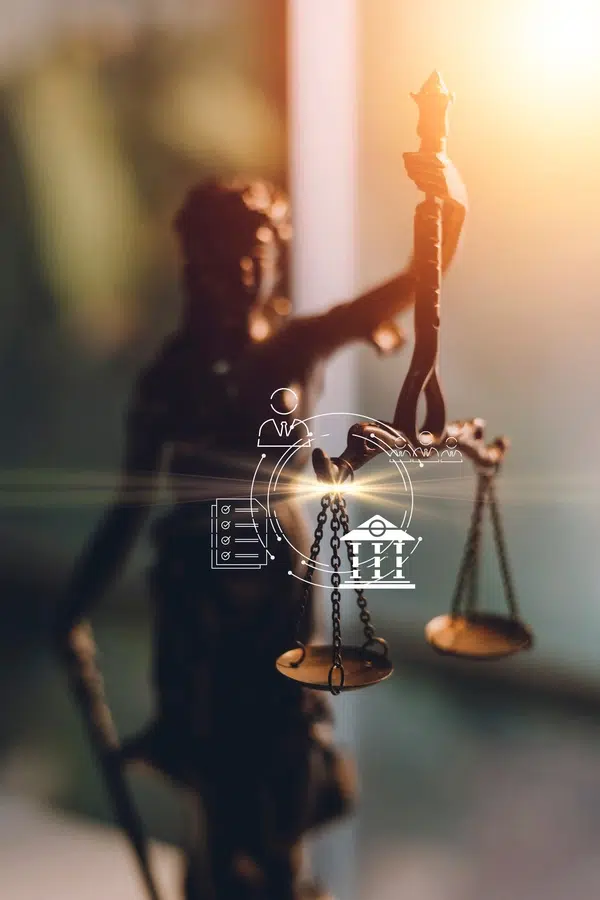cyber law seo